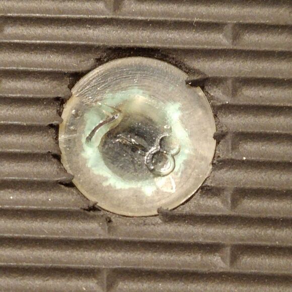 NWOT Vera Bradley Flip Flop Thong Sandals - Picture 7 of 12